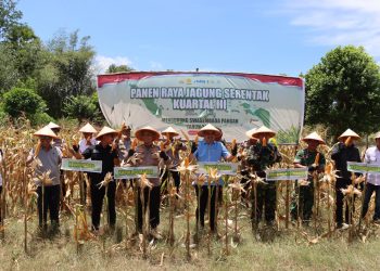Polres Maros Gelar Panen Raya Jagung, Dukung Swasembada Pangan Nasional