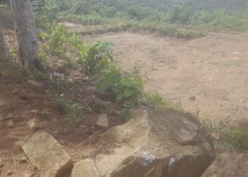 Dana Desa Rp 309 Juta Disorot, Kolam Wisata Sambueja Maros Terancam Jadi Kasus Hukum