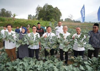 MENKO PANGAN RI PANEN BROKOLI DAN AYAM PETELUR DI RUMAH PANGAN PNM