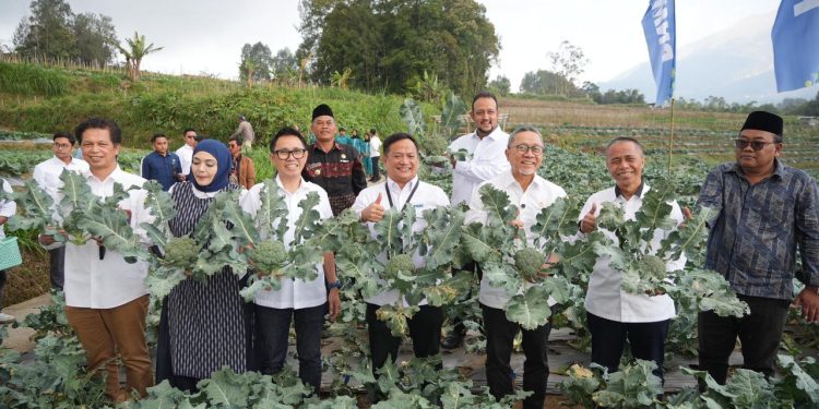 MENKO PANGAN RI PANEN BROKOLI DAN AYAM PETELUR DI RUMAH PANGAN PNM