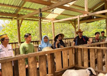 TIM NASIONAL PPK ORMAWA TINJAU IMPLEMENTASI TEKNOLOGI PETERNAKAN CERDAS DI DESA PATTIRO DECENG