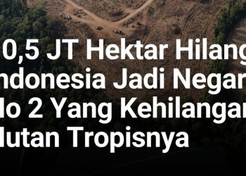 WALHI SUMUT SEBUT TUJUH PERUSAHAAN JADI PEMICU BENCANA EKOLOGIS DI TAPANULI