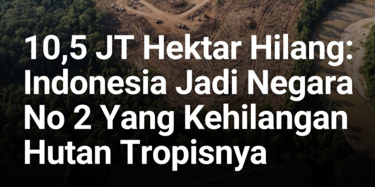 WALHI SUMUT SEBUT TUJUH PERUSAHAAN JADI PEMICU BENCANA EKOLOGIS DI TAPANULI