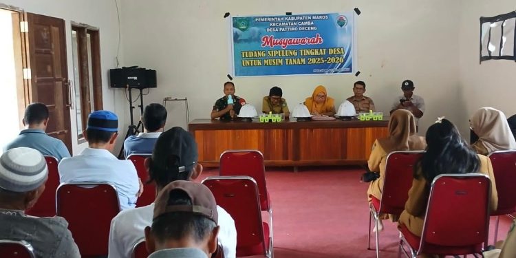 MUSYAWARAH TUDANG SIPULUNG DESA PATTIRO DECENG TENTUKAN JADWAL TURUN SAWAH MUSIM TANAM 2025–2026