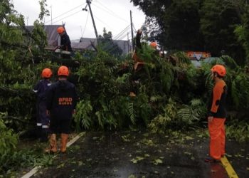 POHON TUMBANG LUMPUHKAN JALUR TRANS-SULAWESI MAROS–BONE