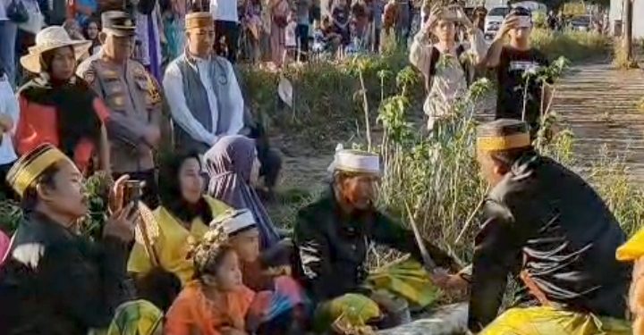 Appalili dan Adekka Aselolo, Tradisi Lima Tahunan Meriahkan Pesta Panen Pattontongan