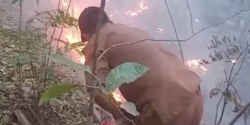 Pak Lurah Leang-Leang Turun Langsung Padamkan Kebakaran Hutan di Perbatasan Maros-Pangkep