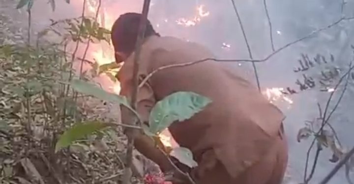 Pak Lurah Leang-Leang Turun Langsung Padamkan Kebakaran Hutan di Perbatasan Maros-Pangkep